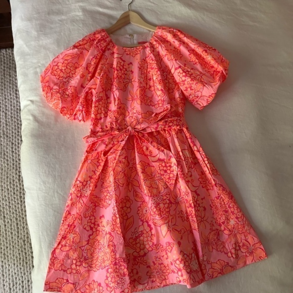 NWT lilly pulitzer knoxlie elbow sleeve mandevilla baby days bloom dress size 6 - Picture 6 of 10